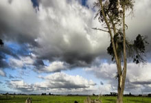 开云体育下载:欧冠综合：拜仁惊险淘汰皇马 半决赛将战“大巴黎”