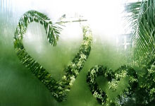 开云APP下载:中超综合：“上海德比”申花告捷 蓉城逆转继续领跑